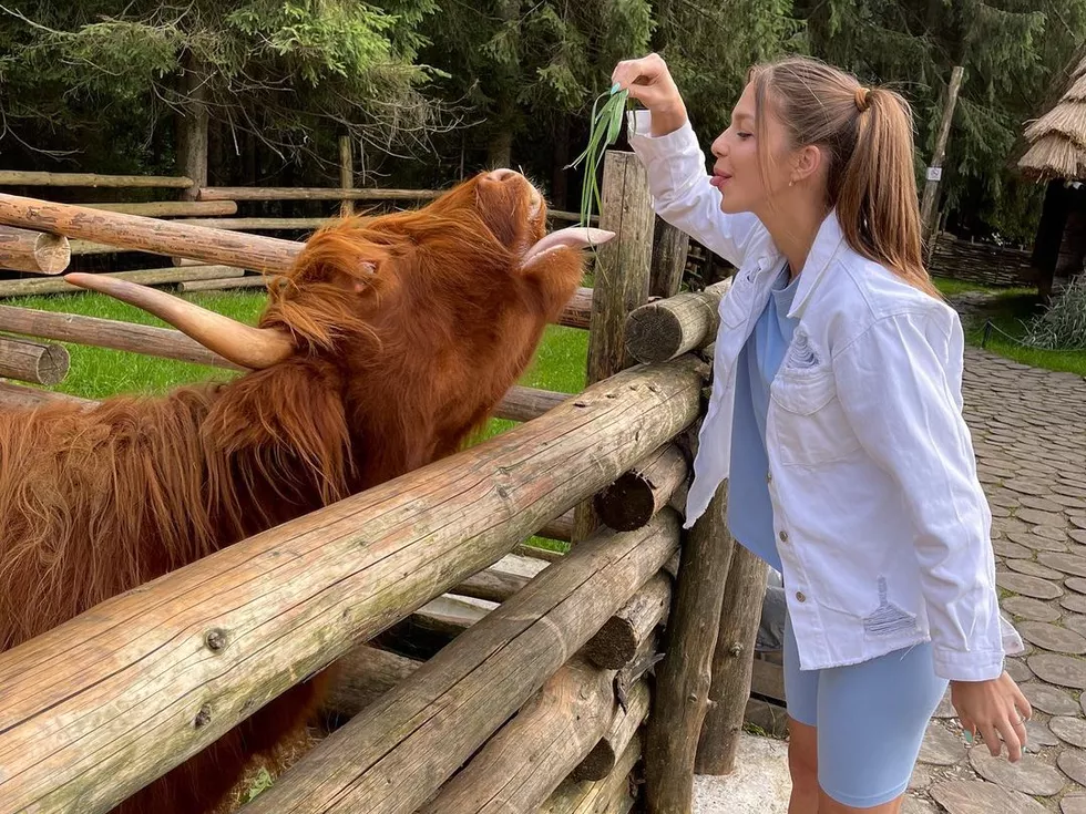 travel program image