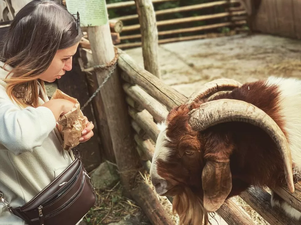 travel program image