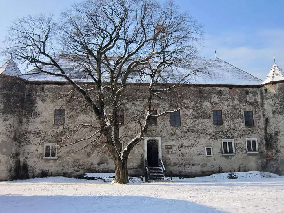 travel program image