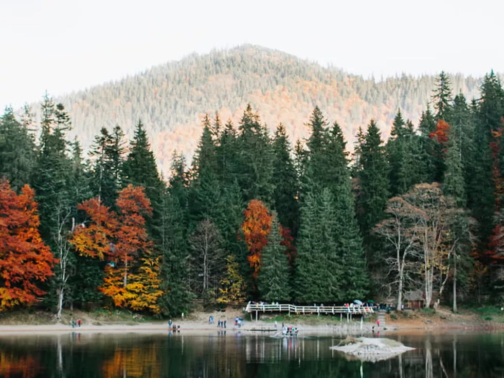 travel program image