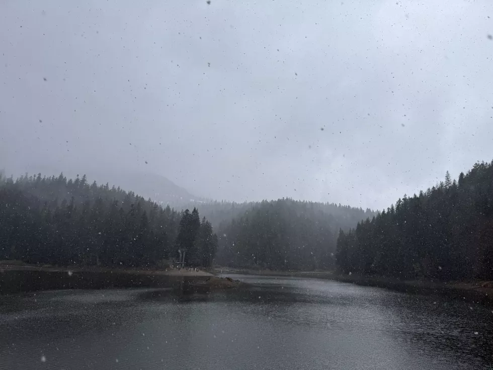 travel program image