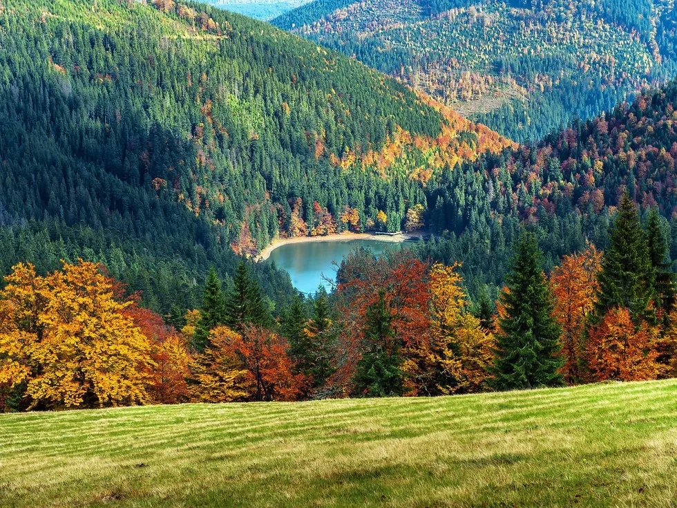 travel program image