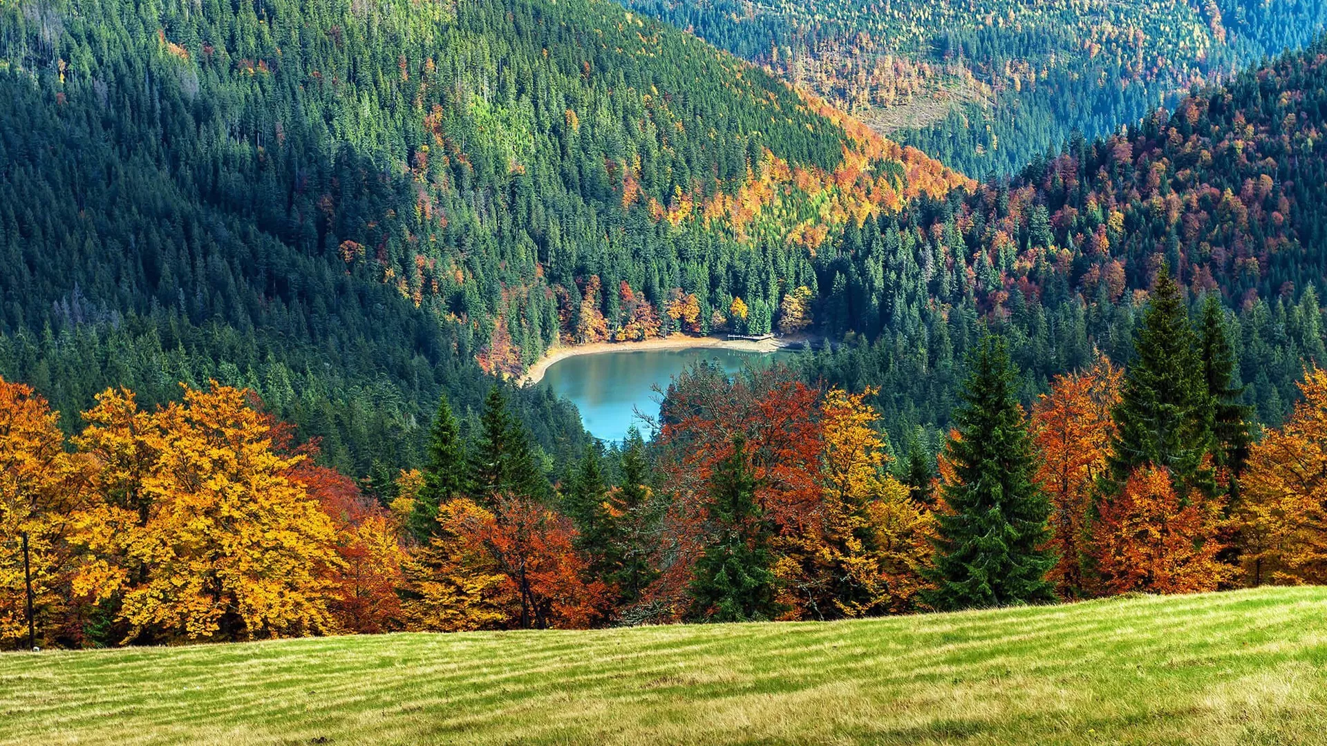 trip inroduction image