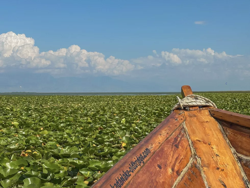 travel program image