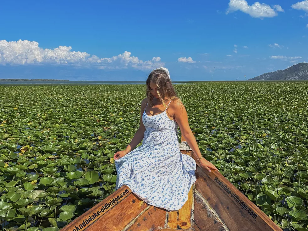 travel program image