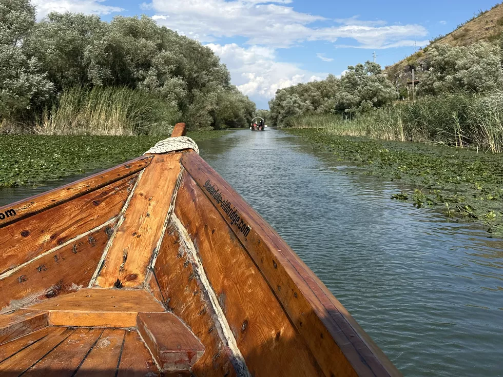 travel program image