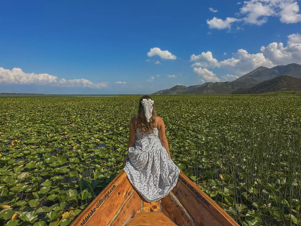 travel program image