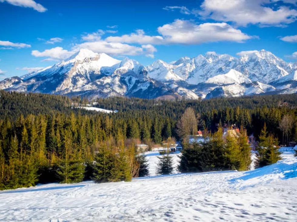 travel program image