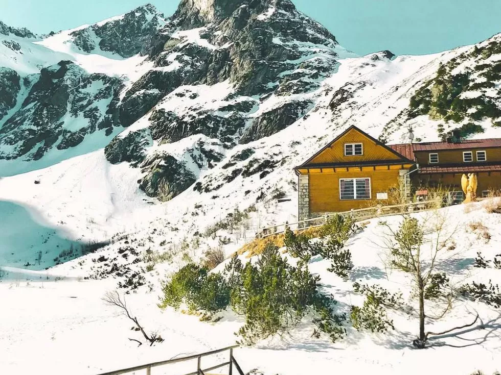 travel program image