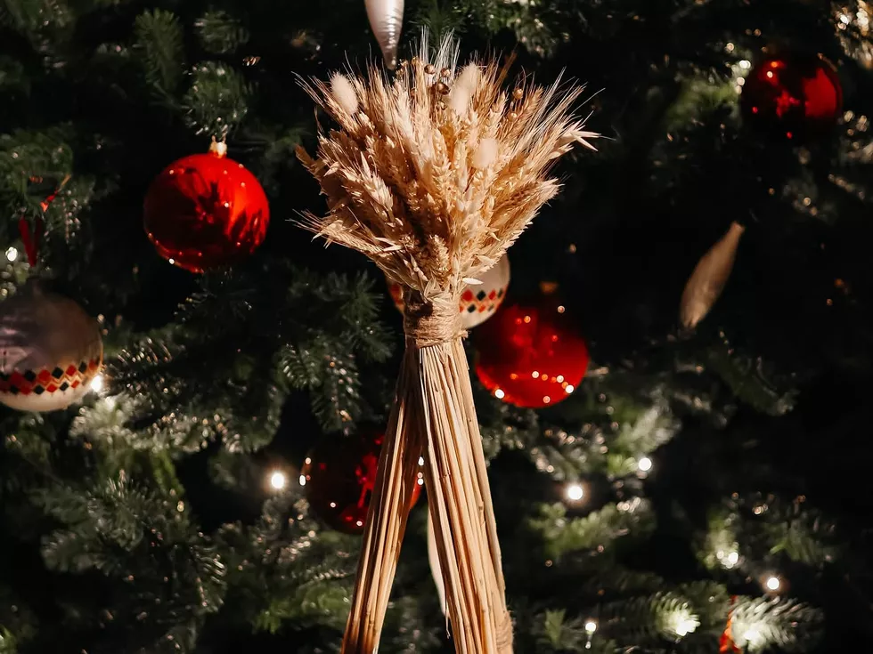 travel program image