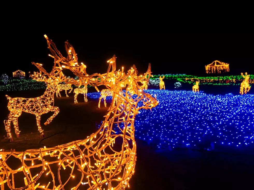 travel program image