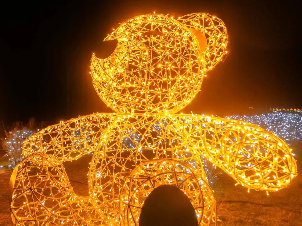 travel program image