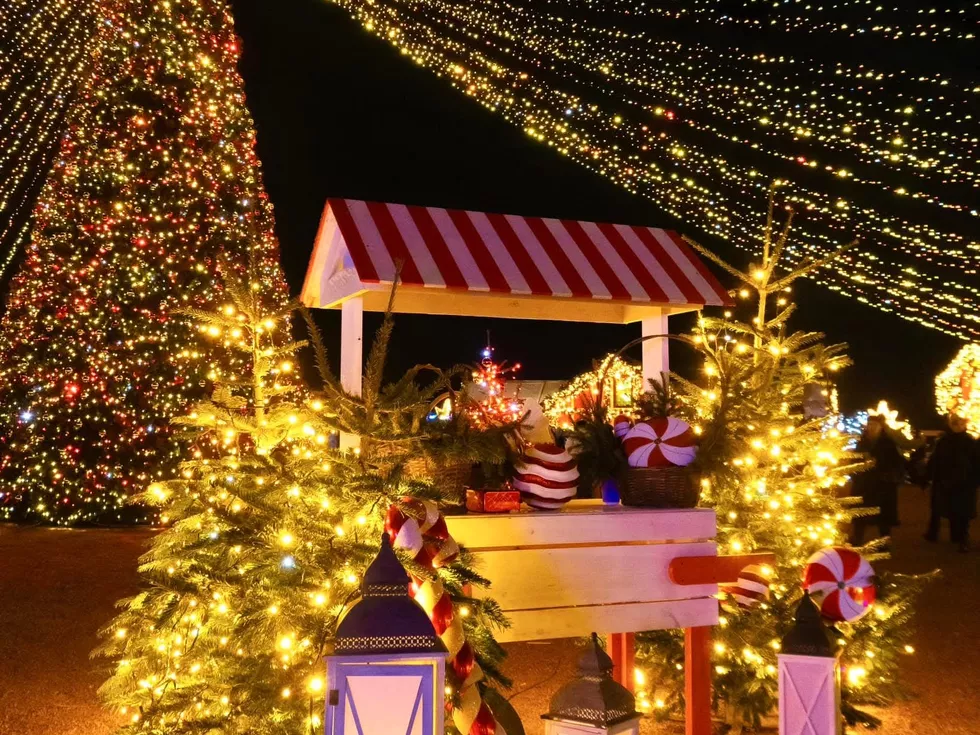 travel program image