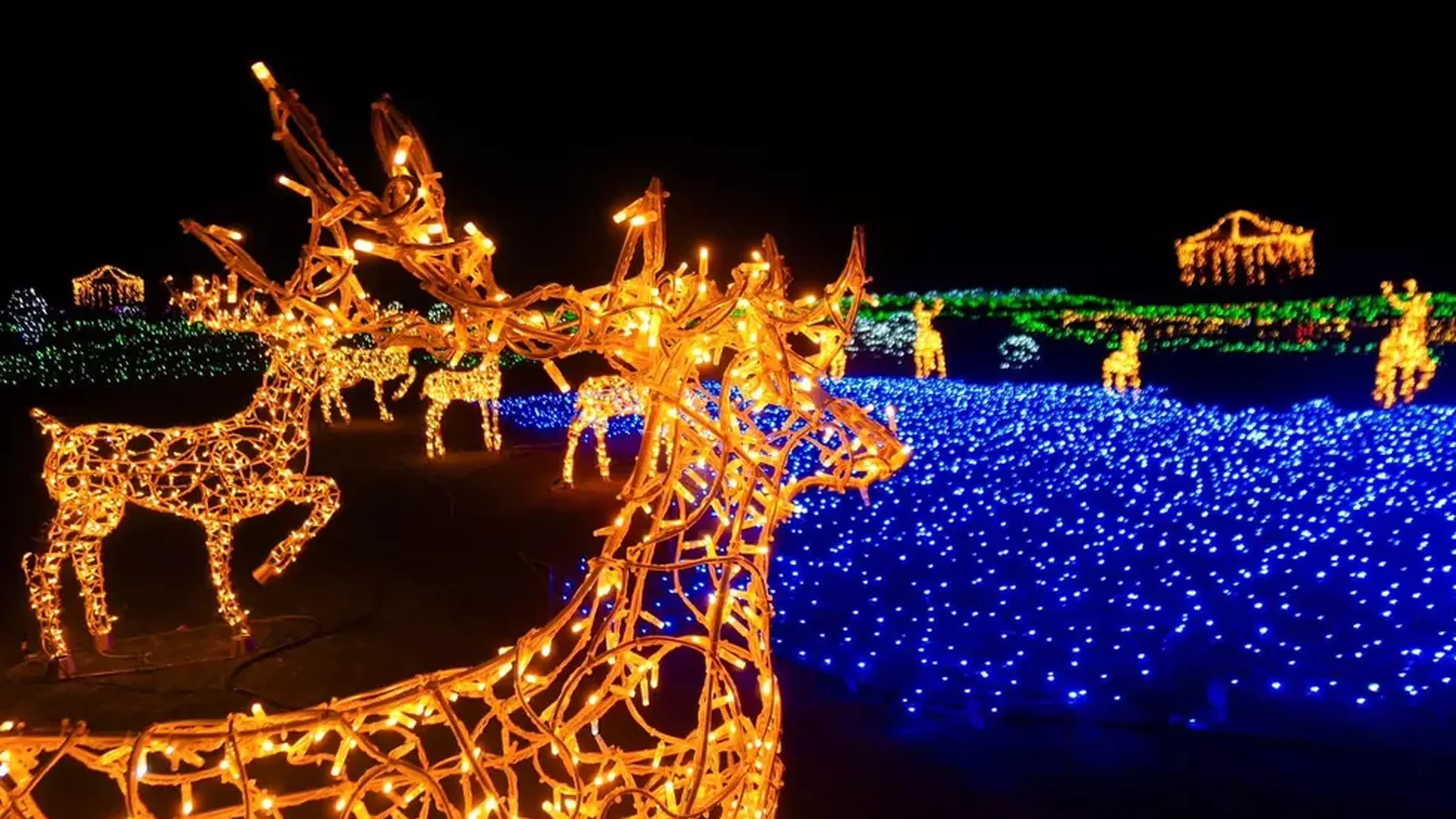 trip inroduction image