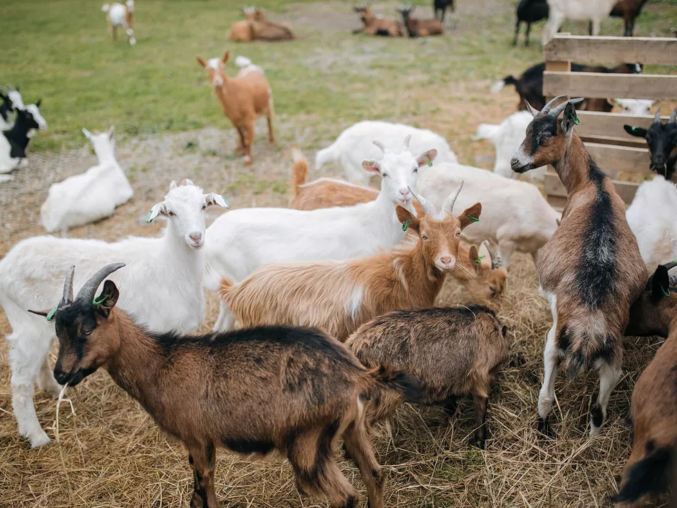 travel program image