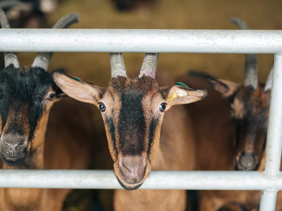 travel program image