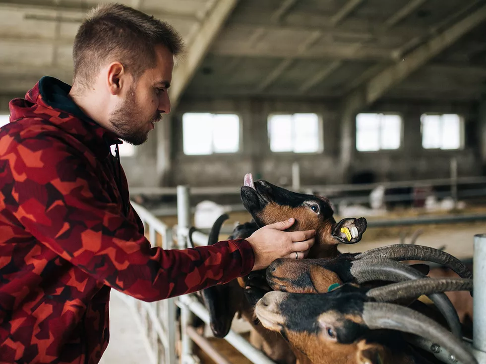 travel program image