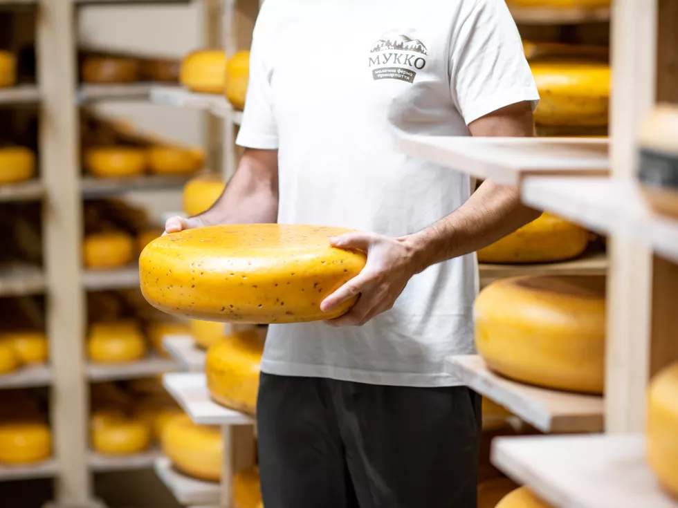 travel program image