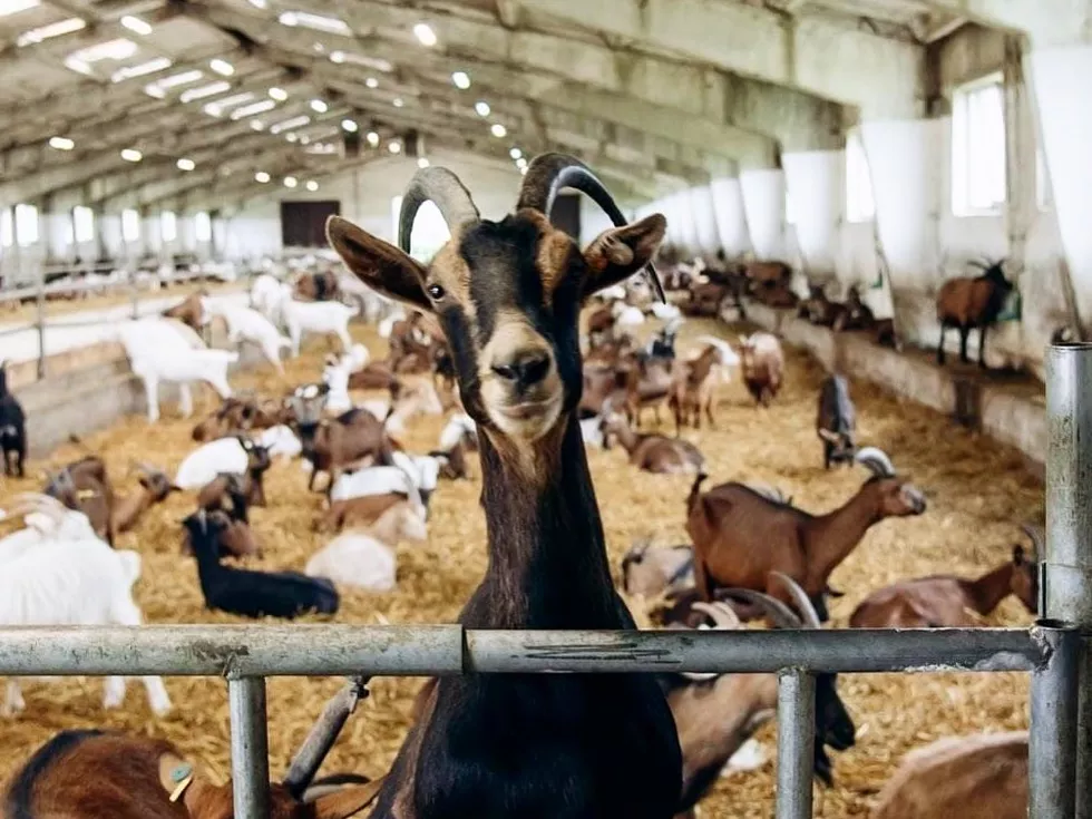 travel program image