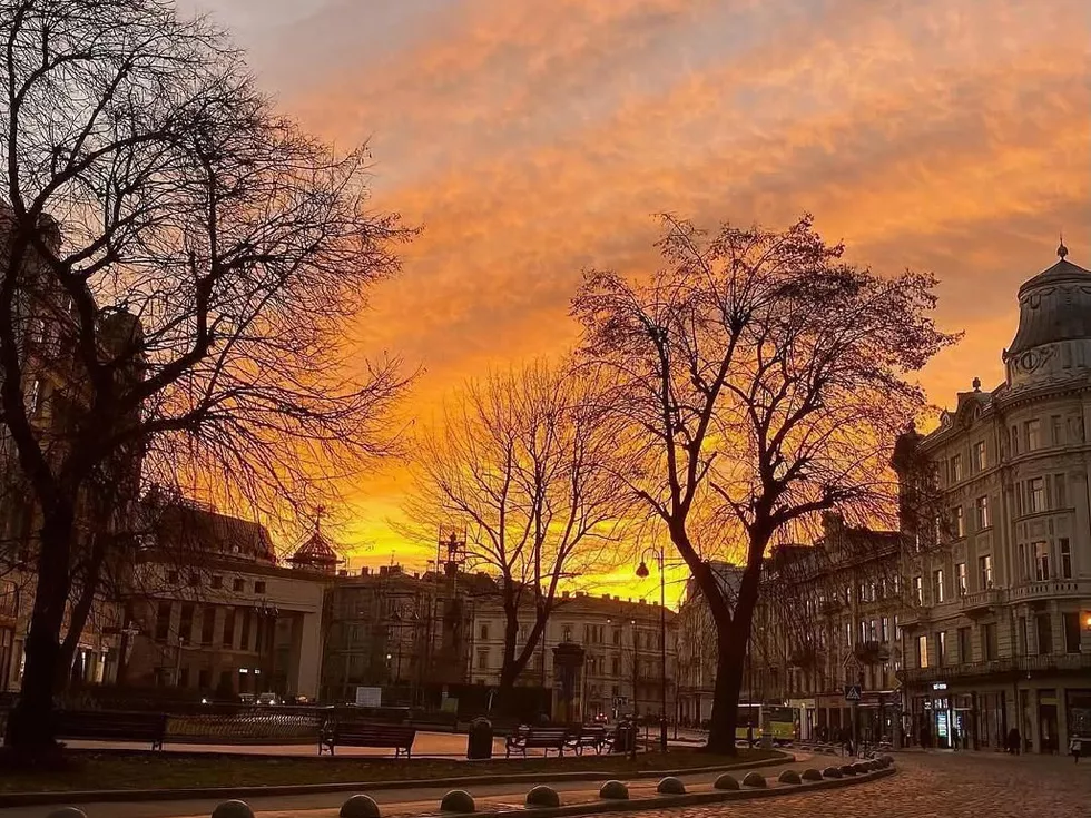 travel program image