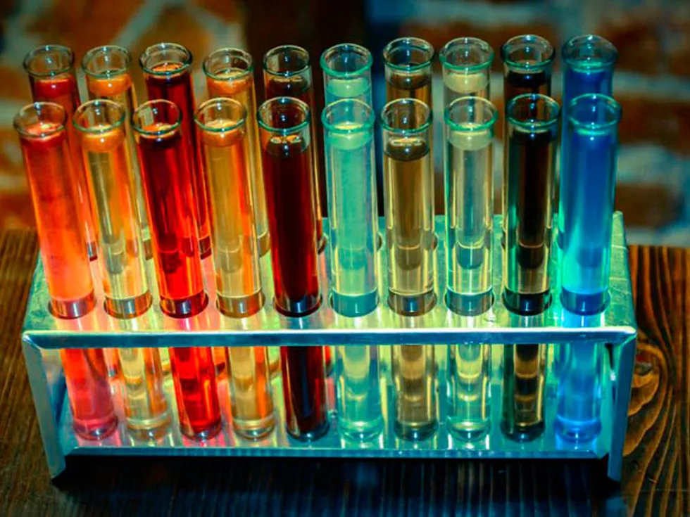 travel program image