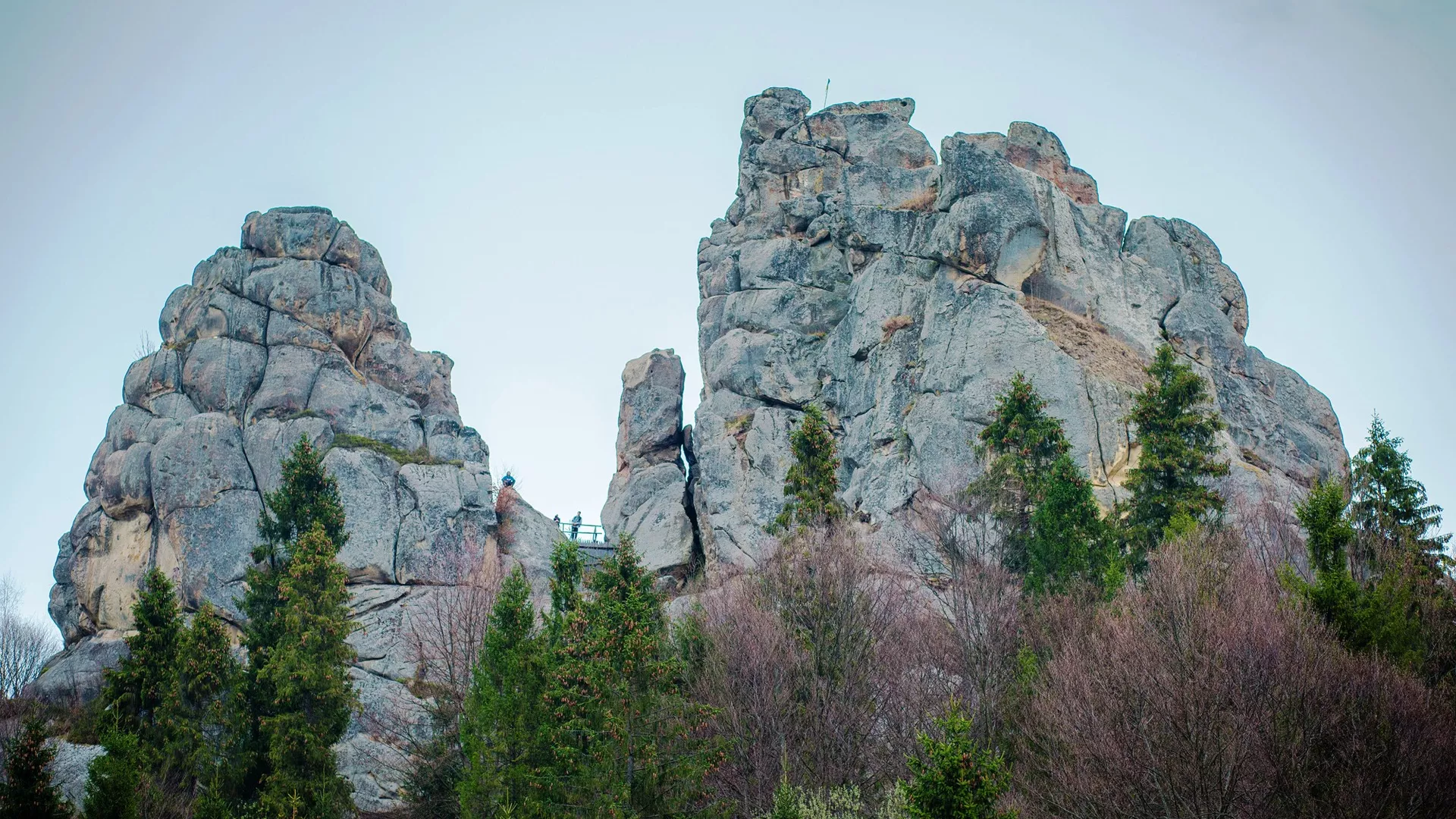 trip inroduction image