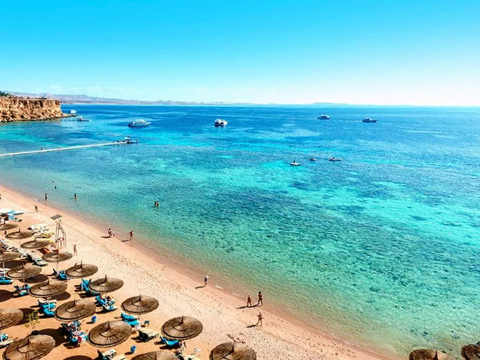 travel program image