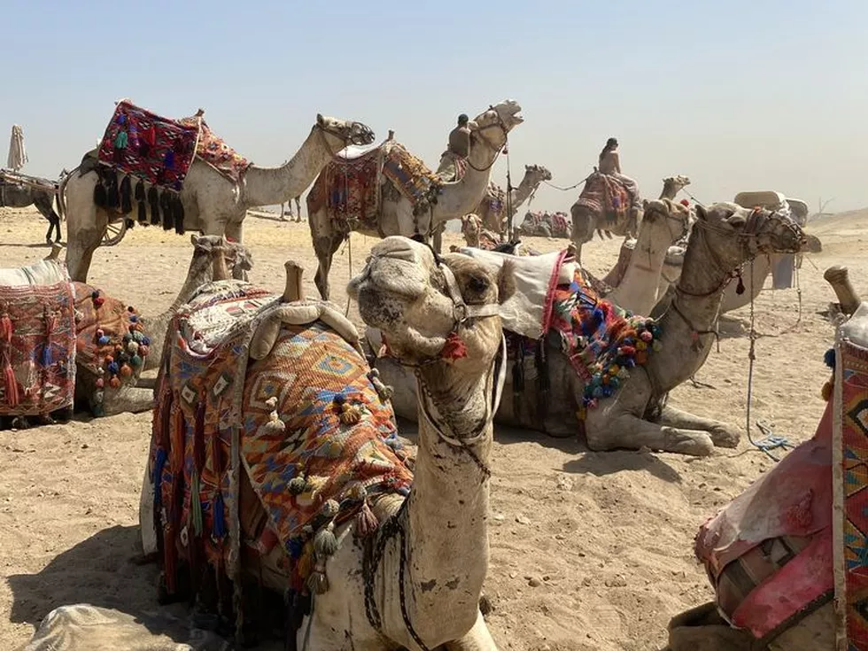 travel program image