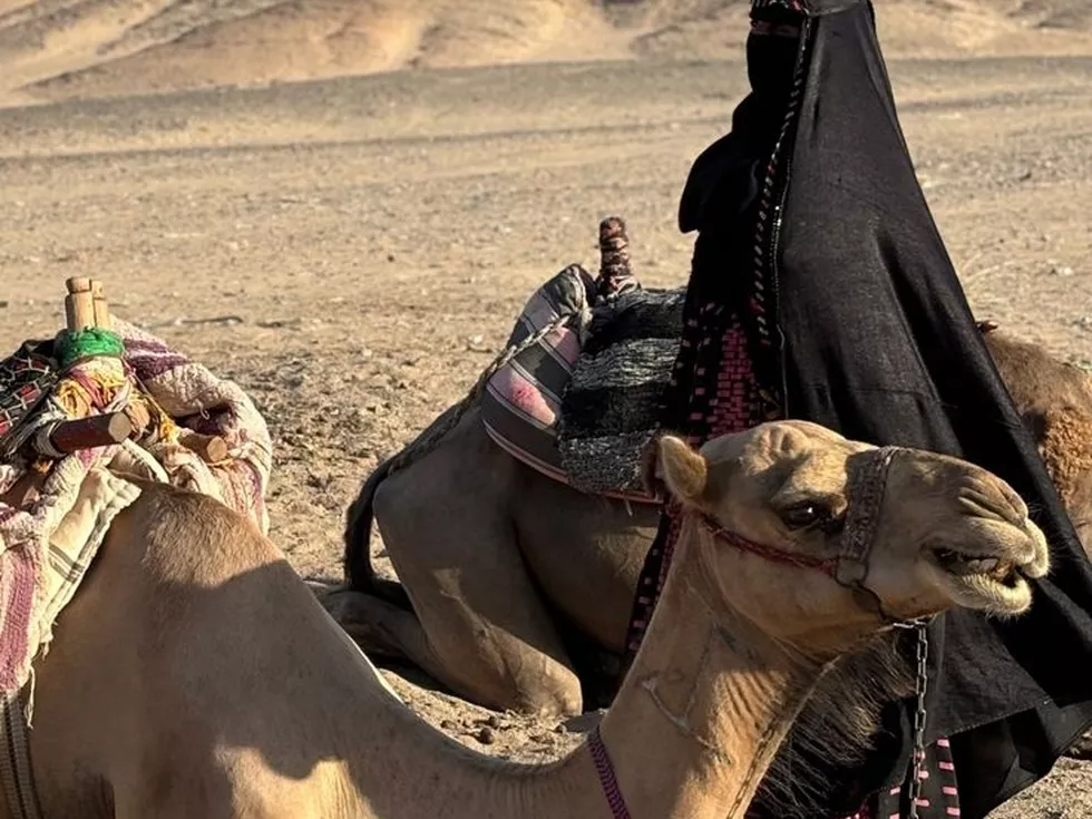 travel program image