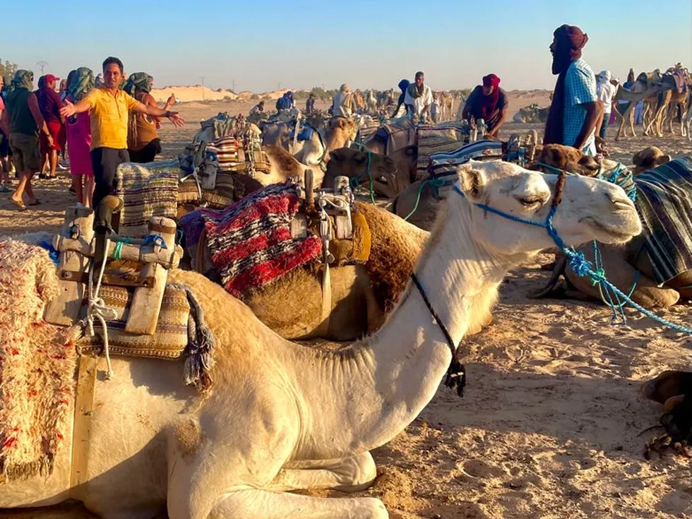 travel program image