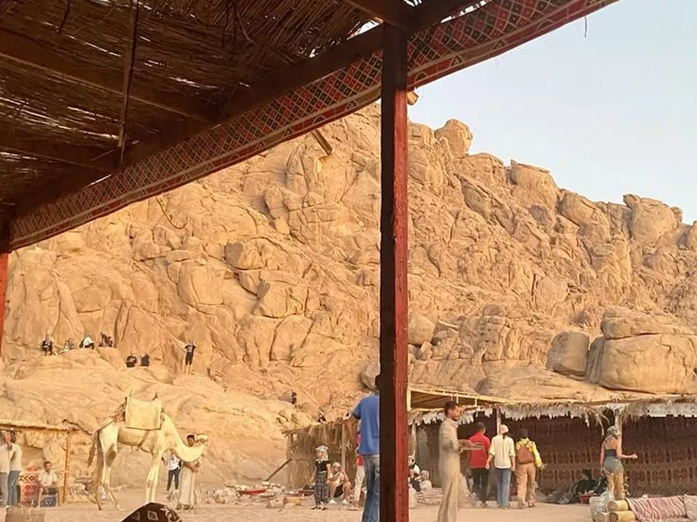 travel program image