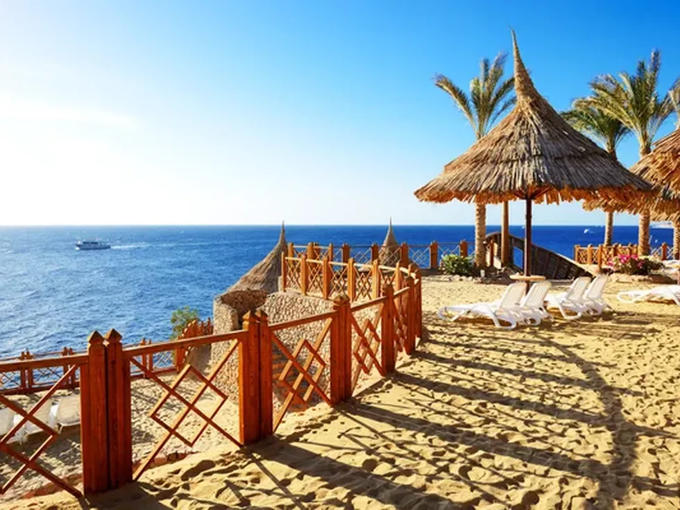 travel program image