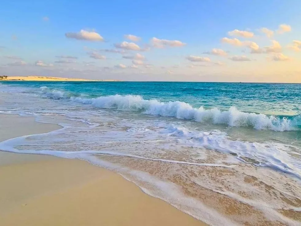 travel program image