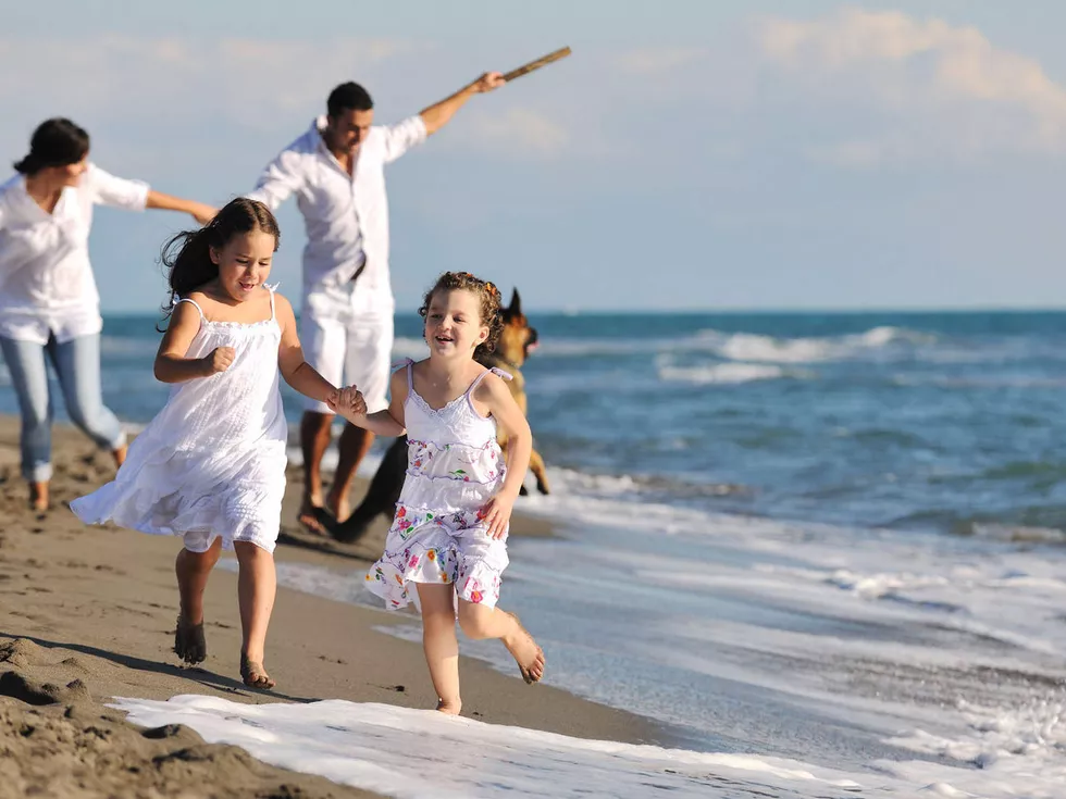 travel program image