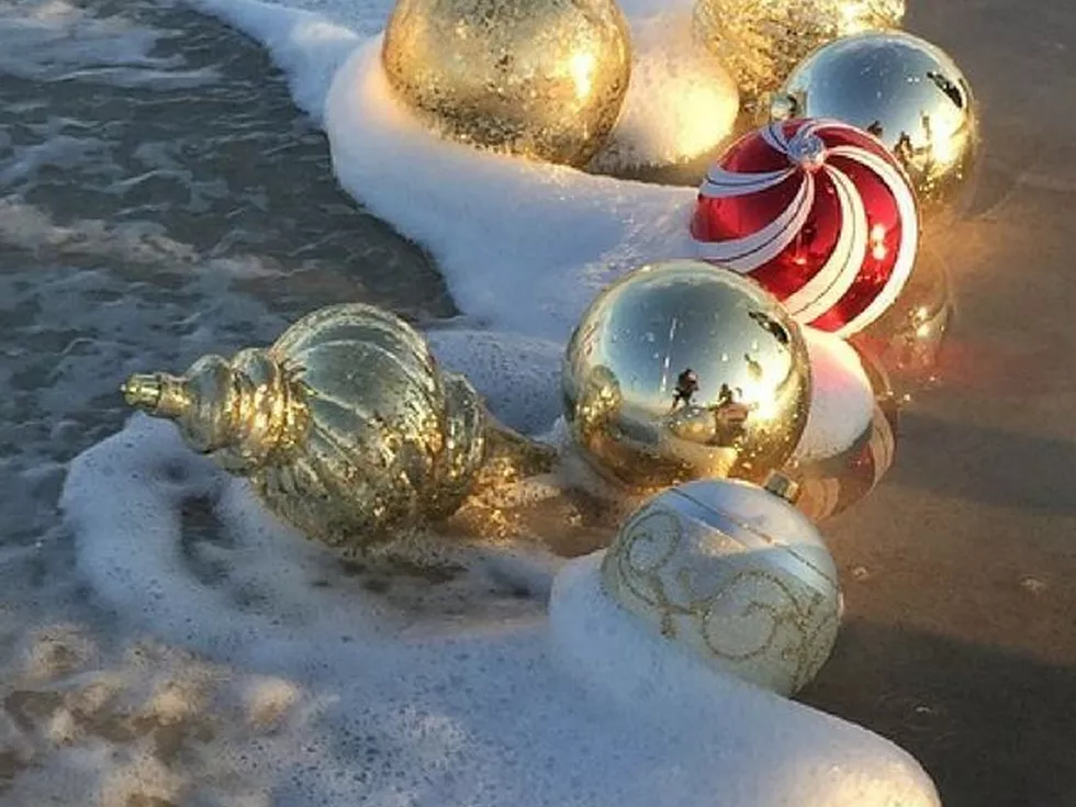 travel program image