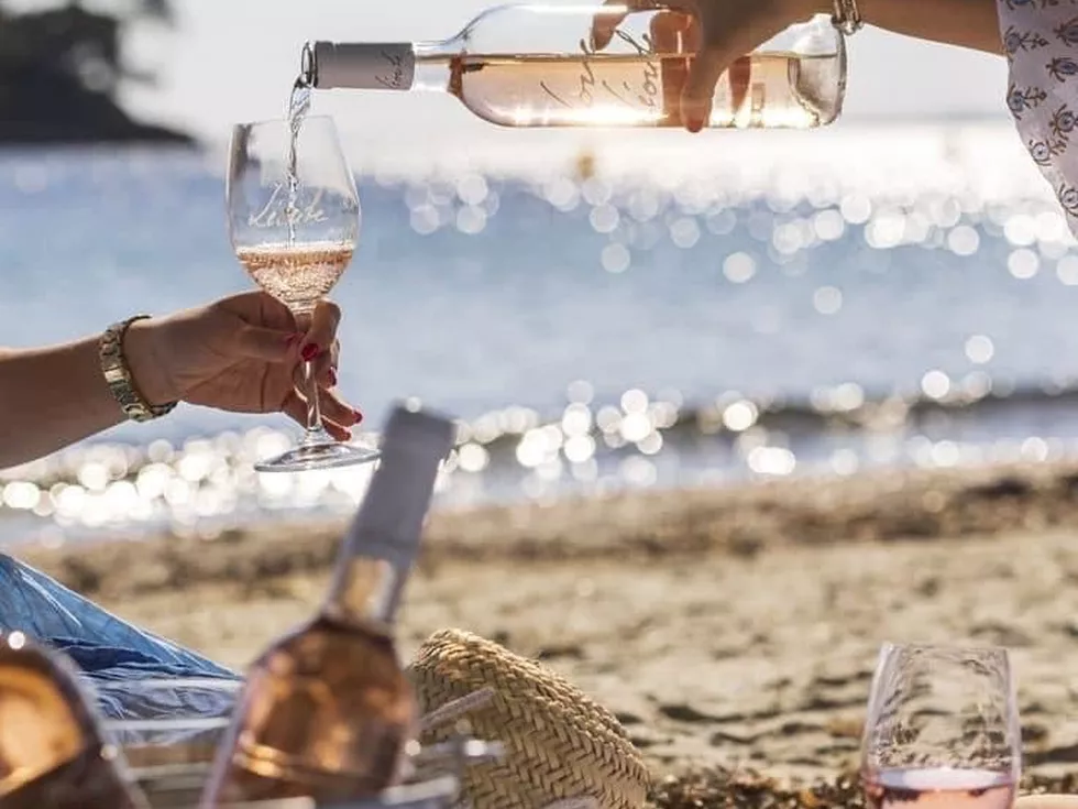 travel program image