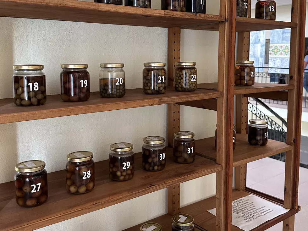 travel program image