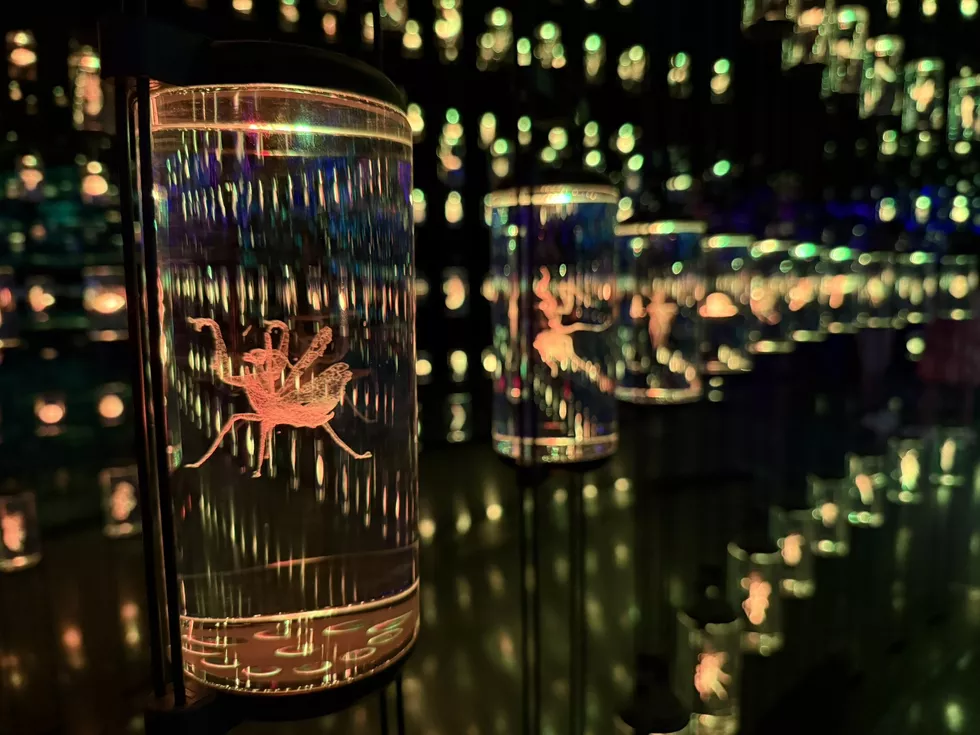 travel program image