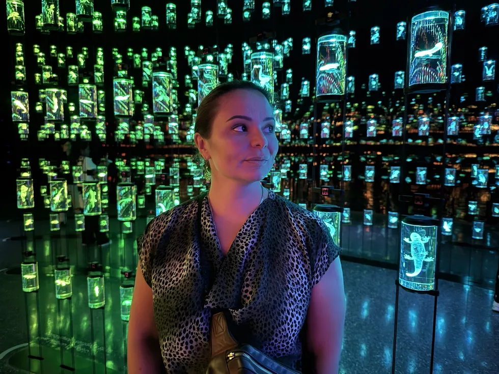 travel program image