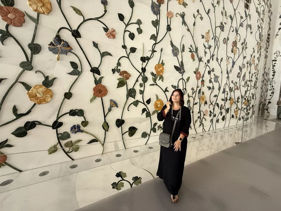 travel program image