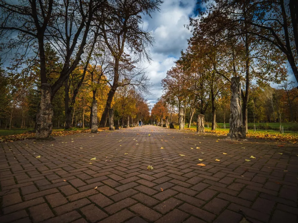 travel program image