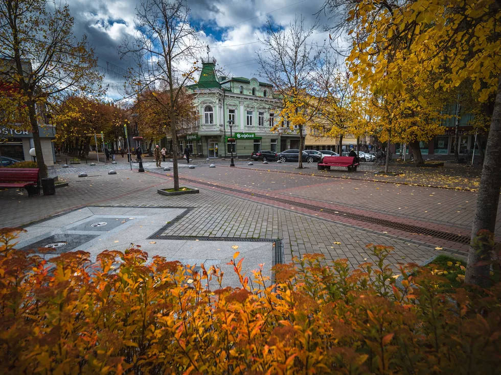 travel program image