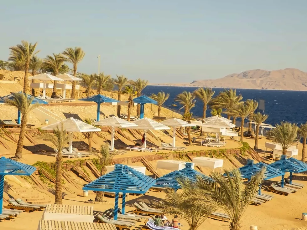 travel program image