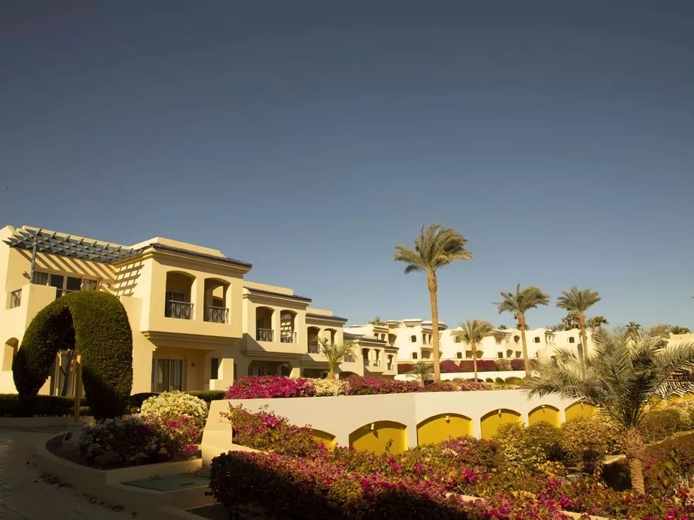 travel program image