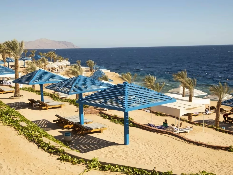 travel program image