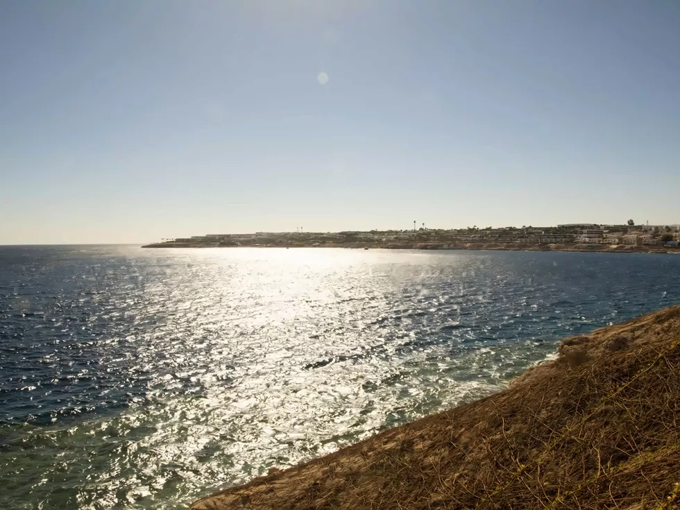 travel program image