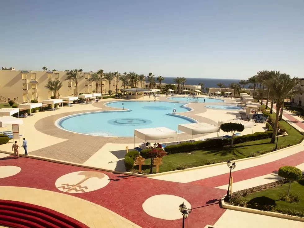 travel program image