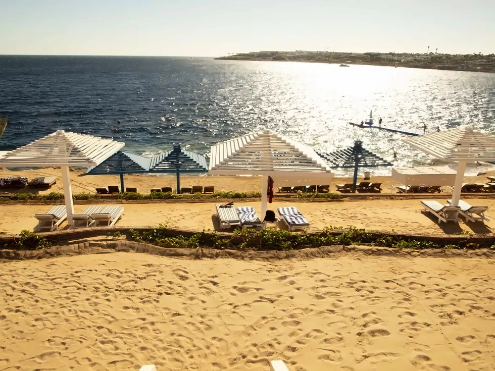 travel program image