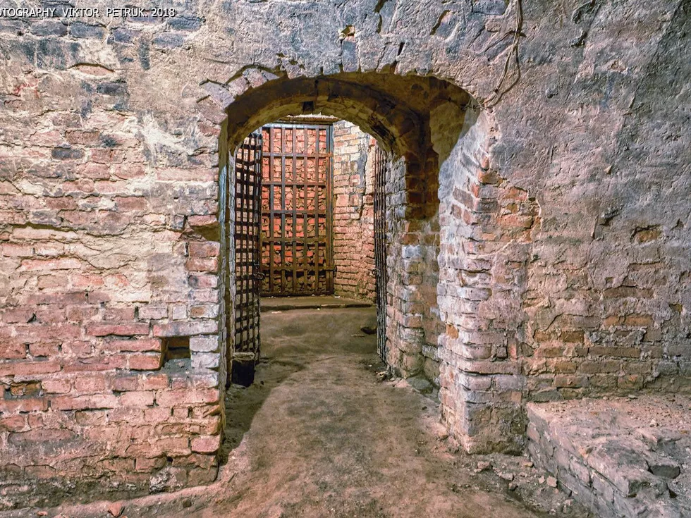 travel program image