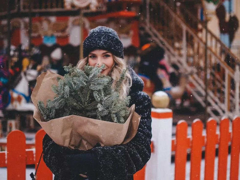 travel program image